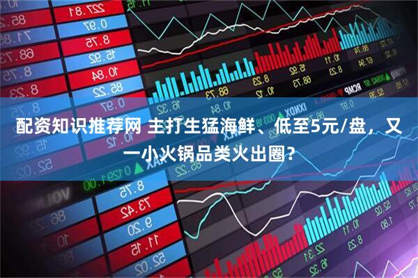 配资知识推荐网 主打生猛海鲜、低至5元/盘，又一小火锅品类火出圈？