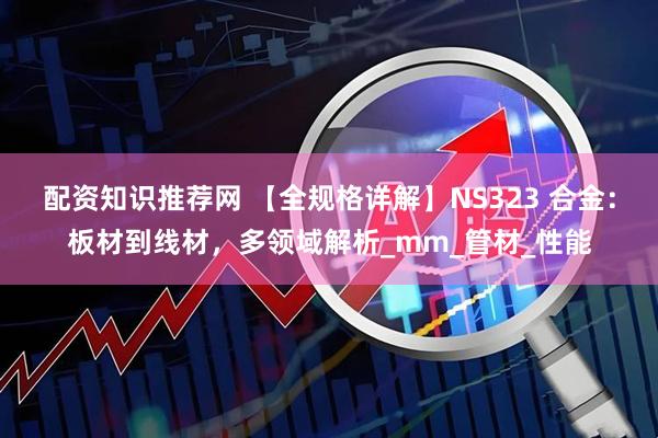 配资知识推荐网 【全规格详解】NS323 合金：板材到线材，多领域解析_mm_管材_性能